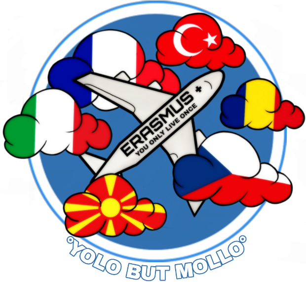 YOLO BUT MOLLO – YOU ONLY LIVE ONCE